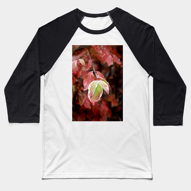 November Dogwood Baseball T-Shirt by EileenMcVey